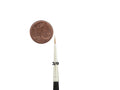 Kolinsky Red Sable Brush Set Size 3/0 | Ø 1,4 mm | visible hair length 7 mm | 6 pieces Spray