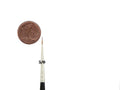 Kolinsky Red Sable Brush Set Size 5/0 | Ø 1,0 mm | visible hair length 6 mm | 6 pieces