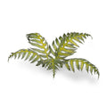 Laser Plants - Bracken — Gamers Grass GGLP-GB