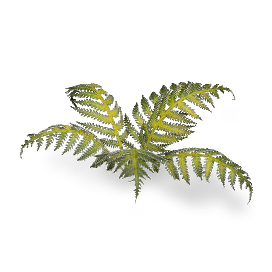 Laser Plants - Bracken — Gamers Grass GGLP-GB