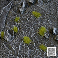Tiny Dry Green — Gamers Grass GGTT-DG