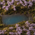 Lavender Flowers — Gamers Grass GGFS-LAV